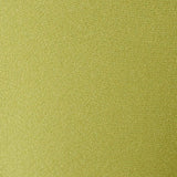 Parte Inferior de Biquíni Brasileiro Clover Verde