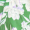 Mini Robe Verde com Estampa Floral e Mangas Estilo Bata
