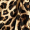 Mini Robe de Satin com Mangas e Estampa de Leopardo em Tons de Marrom