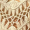 Top Cropped de Crochê com Franjas na Cor Creme