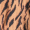 Blusa de Padrão Multi Tiger com Decote em V e Mangas 3/4