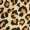 Mini Roupão com Estampa de Leopardo e Decote Racer