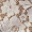 Blusa Creme de Renda Floral com Mangas Curtas