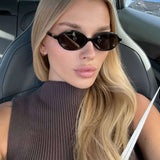 Cláudio - Sunglasses